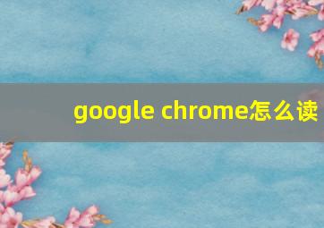 google chrome怎么读